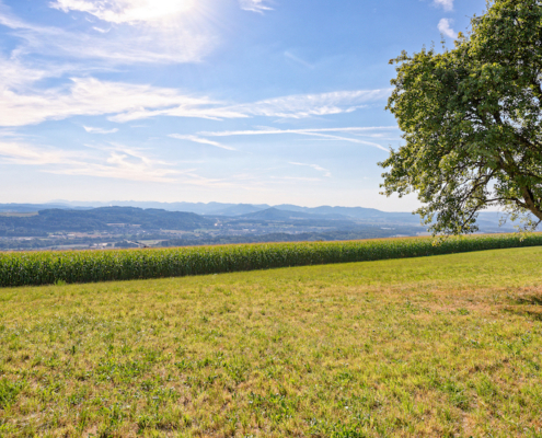 Grundstück_Bauland_Remetschwil_Aargau_Zürich